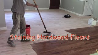 Staining Hardwood Floors [upl. by Jereme]