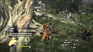 Dragons Dogma Dark Arisen  PC Gameplay 1080p 60FPS  Max Settings [upl. by Cort150]