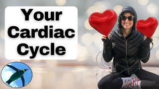 Your CARDIAC CYCLE 🐧❤️🐧 [upl. by Noreen]