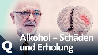 Wie gut kann sich der Körper vom Alkohol erholen  Quarks [upl. by Flita146]