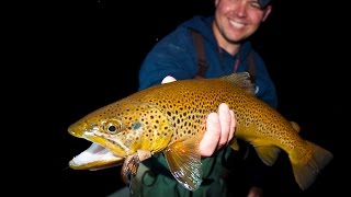 Hook Shots Mousing Nighttime Browns [upl. by Zacharie]