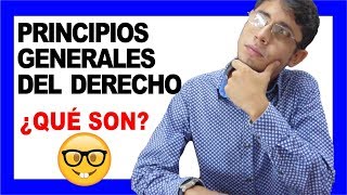 🤓 Cuáles son los principios generales del derecho en Colombia  DERECHO COLOMBIANO [upl. by Sivartal]