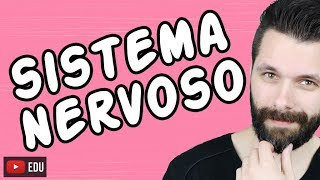 SISTEMA NERVOSO  FISIOLOGIA  Aula  Biologia com Samuel Cunha [upl. by Coniah]