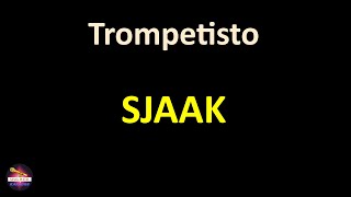 Sjaak  Trompetisto Lyrics version [upl. by Eicirtap]