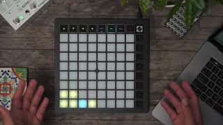 Record and Capture MIDI  Launchpad X  Novation [upl. by Arlina]