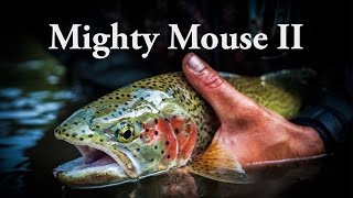 Alaska Mouse Fishing  Mighty Mouse II [upl. by Nama]