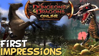 Dungeons amp Dragons Online First Impressions quotIs It Worth Playingquot [upl. by Roselane]