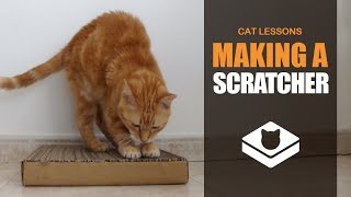 How to Make a Cat Scratcher [upl. by Adis734]