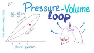 PressureVolume Loops  Compliance  Respiratory Physiology [upl. by Hazrit]