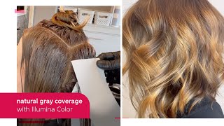 NaturalResult Gray Coverage with Illumina Color  Wella Professional [upl. by Pius]