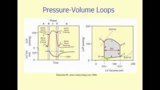 pressurevolume loop generation [upl. by Malina]