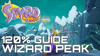 Spyro The Dragon Reignited 120 Guide WIZARD PEAK ALL GEMS EGGS DRAGONS [upl. by Pudens]