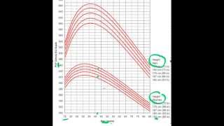 Asthma S2 Part 3 Peak Flow Readings [upl. by Kurtz]