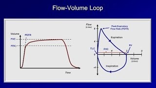 Pulmonary Function Tests PFT Lesson 2  Spirometry [upl. by Hogarth]