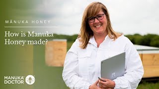 Manuka Honey How is Manuka Honey Made [upl. by Madden624]